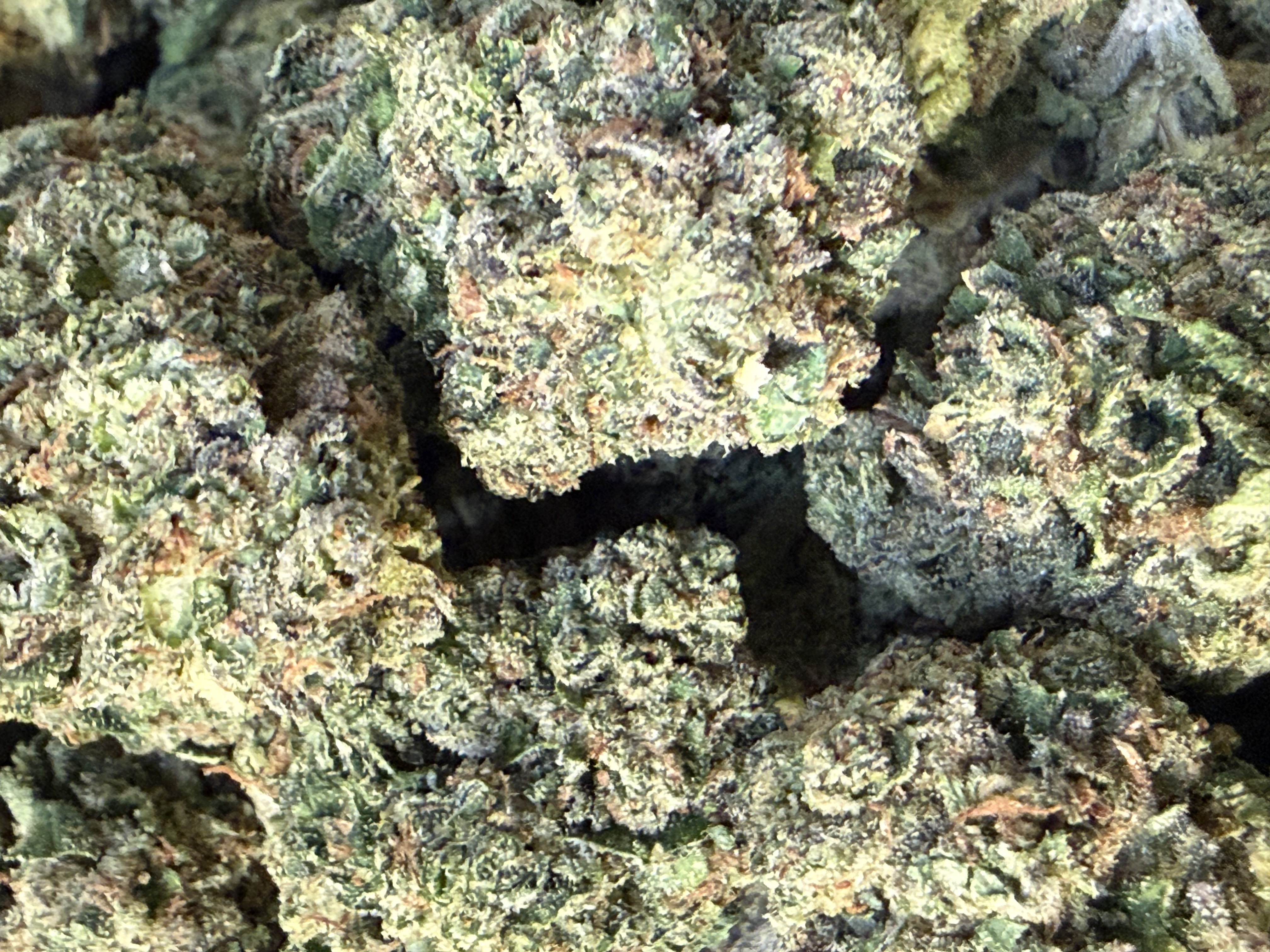 White Cherry Gushers