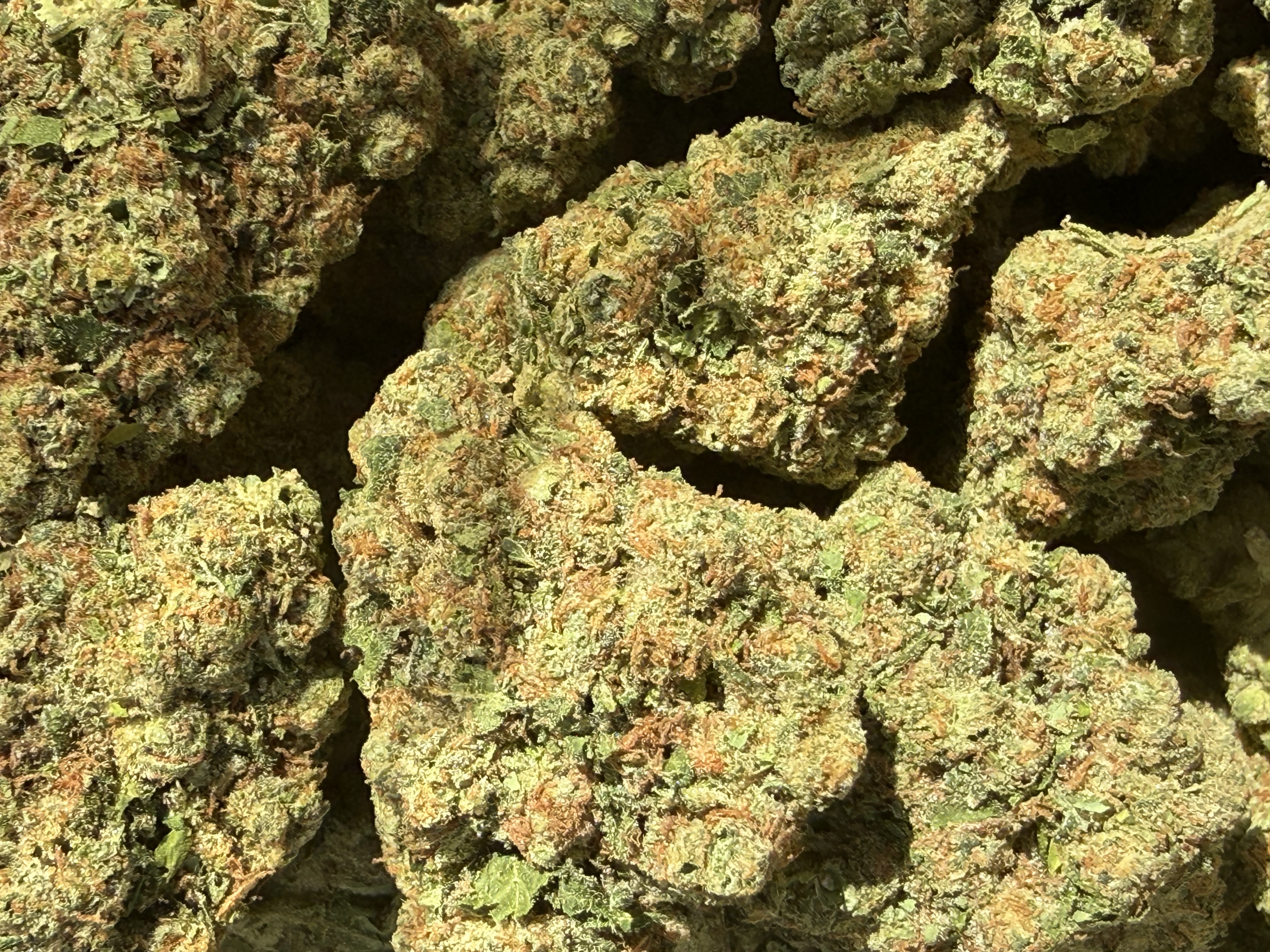 Lemon OG